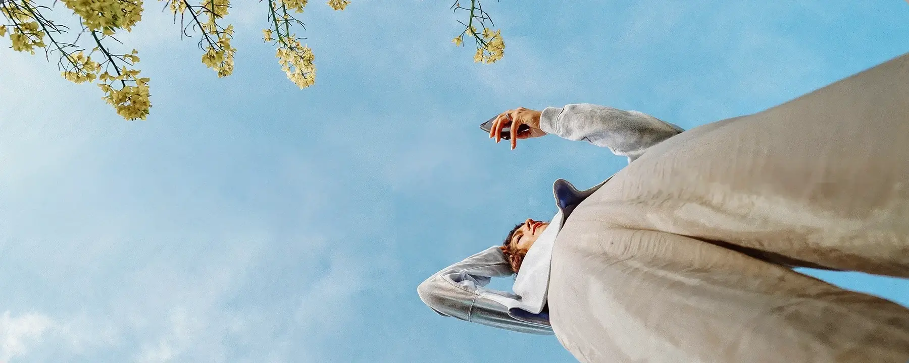 A person in a light hoodie seen from below against a blue sky, branches with yellow blossoms at the top